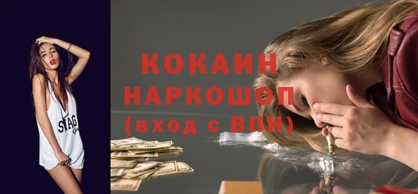 СК Зеленокумск