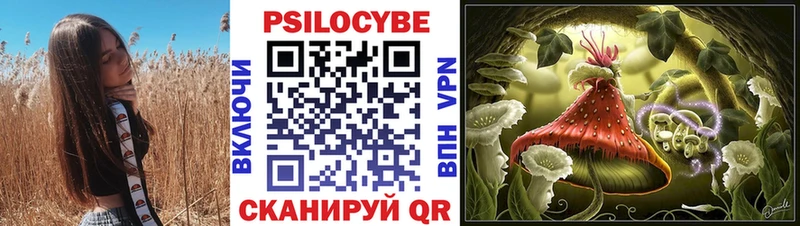 Псилоцибиновые грибы GOLDEN TEACHER  Купить где  Ясный 